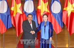 Chủ tịch Quốc hội Nguyễn Thị Kim Ngân hội kiến Tổng Bí thư, Chủ tịch nước Lào